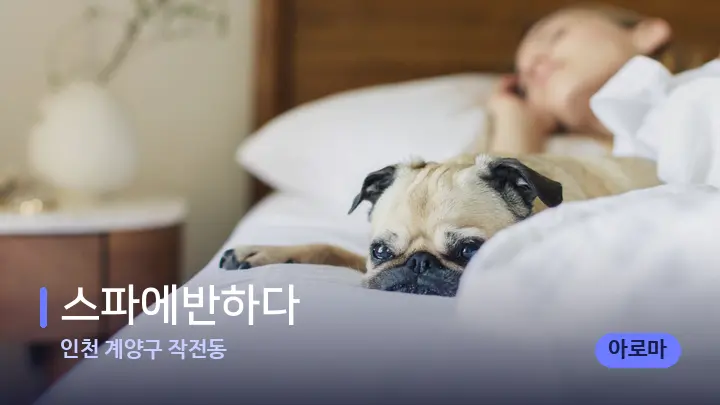 인천 계양구 작전동 스파에반하다 — 휴식 분위기의 스파 베드
