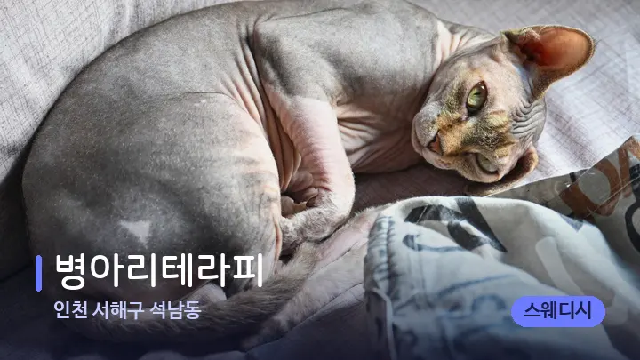 인천 서해구 석남동 병아리테라피 — 휴식 분위기의 스파 베드