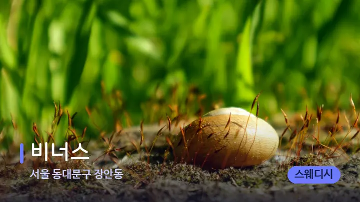 서울 동대문구 장안동 비너스 — 마사지용 스톤