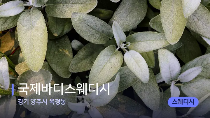 경기 양주시 옥정동 국제바디스웨디시 — 아로마테라피 오일