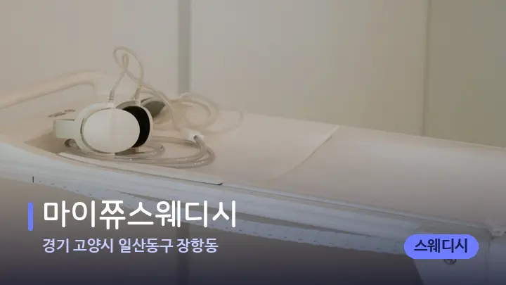 경기 고양시 일산동구 장항동 마이쮸스웨디시 — 마사지 베드가 놓인 관리실