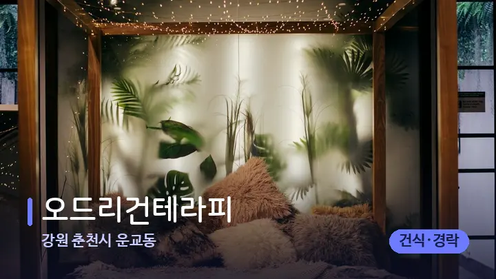 강원 춘천시 운교동 오드리건테라피 — 휴식 분위기의 스파 베드
