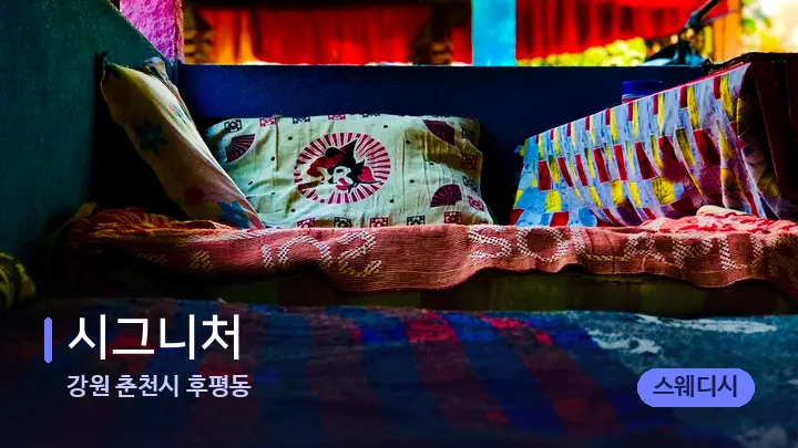 강원 춘천시 후평동 시그니처 — 휴식 분위기의 스파 베드