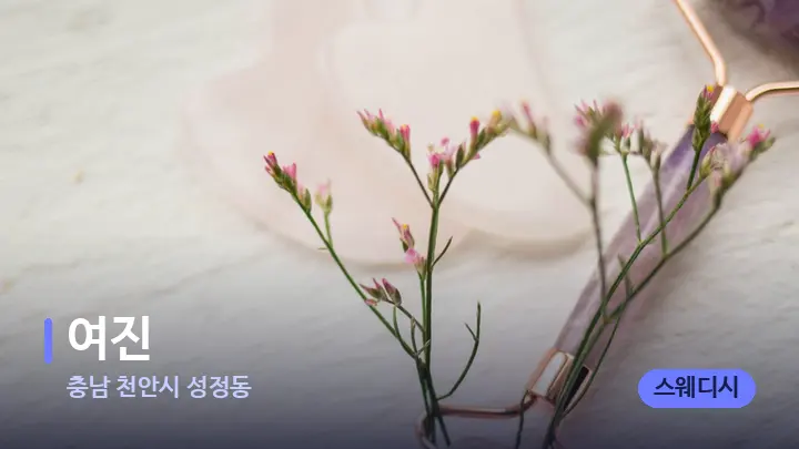 충남 천안시 성정동 여진 — 마사지용 스톤