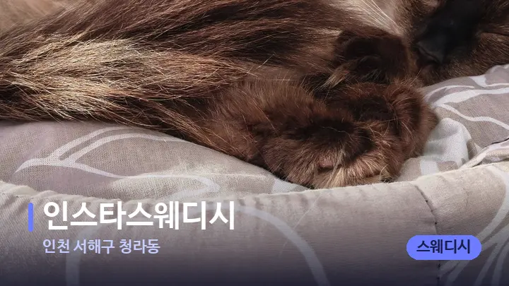 인천 서해구 청라동 인스타스웨디시 — 휴식 분위기의 스파 베드