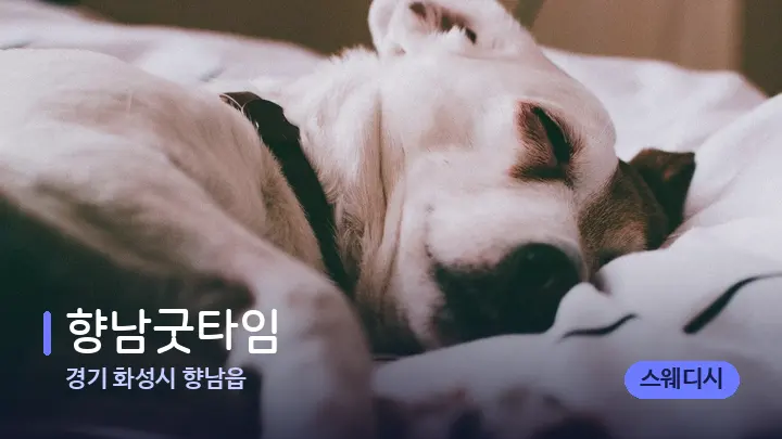 경기 화성시 향남읍 향남굿타임 — 휴식 분위기의 스파 베드