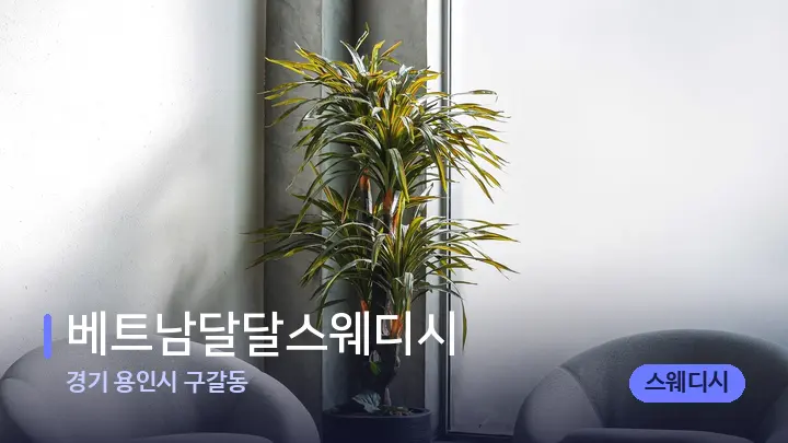 경기 용인시 구갈동 베트남달달스웨디시 — 스파 프런트 공간