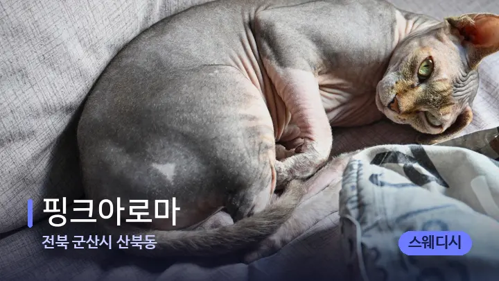 전북 군산시 산북동 핑크아로마 — 휴식 분위기의 스파 베드