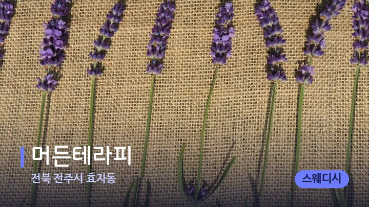 전북 전주시 효자동 머든테라피 — 아로마테라피 오일