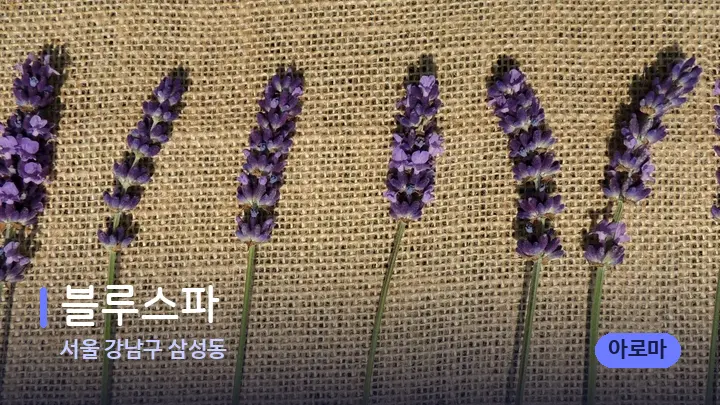 서울 강남구 삼성동 블루스파 — 아로마테라피 오일
