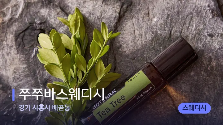 경기 시흥시 배곧동 쭈쭈바스웨디시 — 아로마테라피 오일
