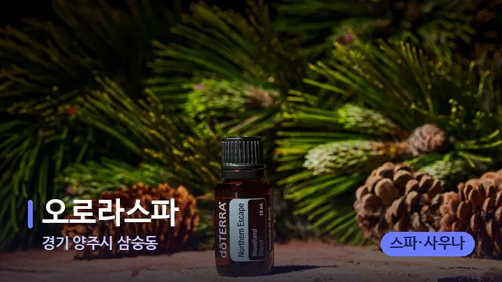 경기 양주시 삼숭동 오로라스파 — 아로마테라피 오일