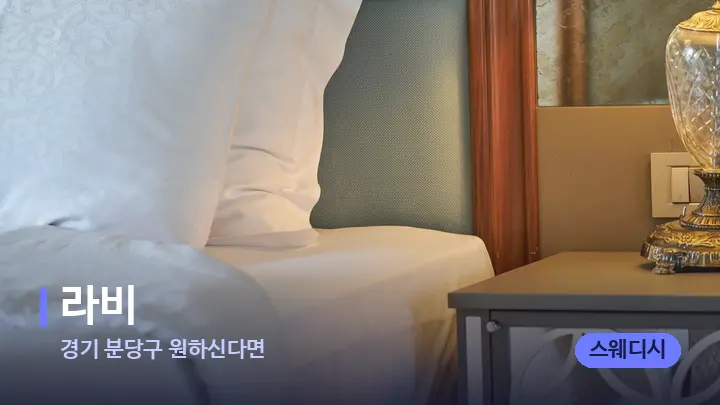 경기 분당구 원하신다면 라비 — 휴식 분위기의 스파 베드