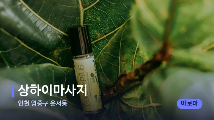 인천 영종구 운서동 상하이마사지 — 아로마테라피 오일