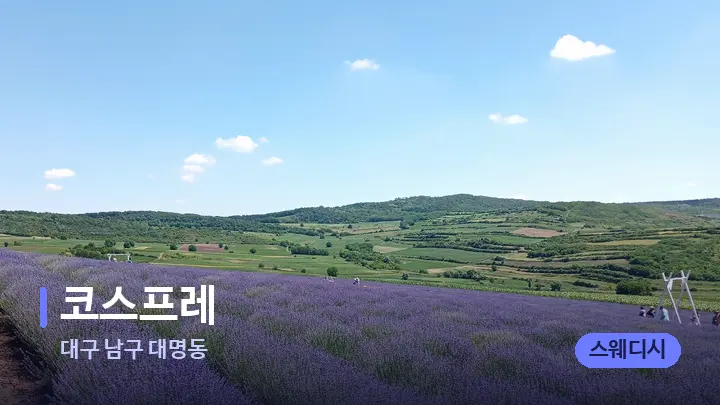 대구 남구 대명동 코스프레 — 아로마테라피 오일