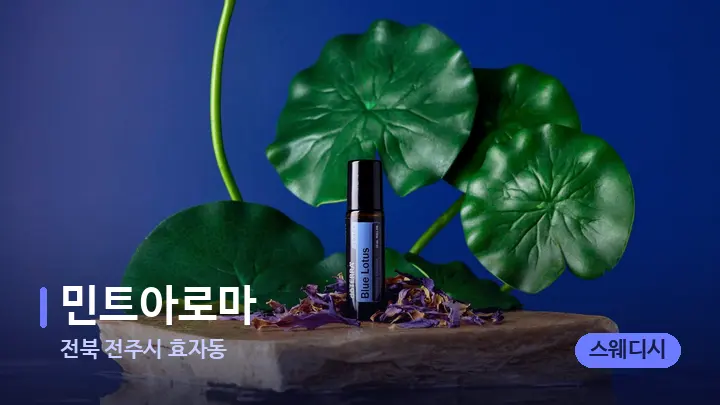 전북 전주시 효자동 민트아로마 — 아로마테라피 오일