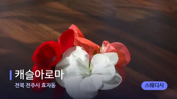 전북 전주시 효자동 캐슬아로마 — 아로마테라피 오일