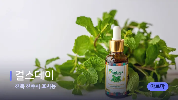 전북 전주시 효자동 걸스데이 — 아로마테라피 오일