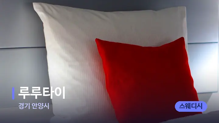 경기 안양시 루루타이 — 휴식 분위기의 스파 베드