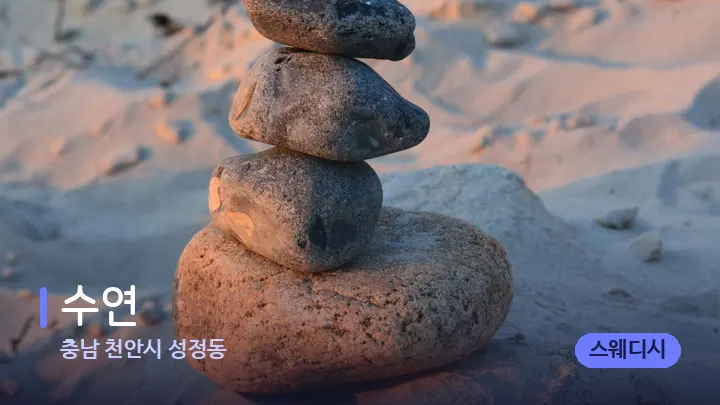 충남 천안시 성정동 수연 — 마사지용 스톤
