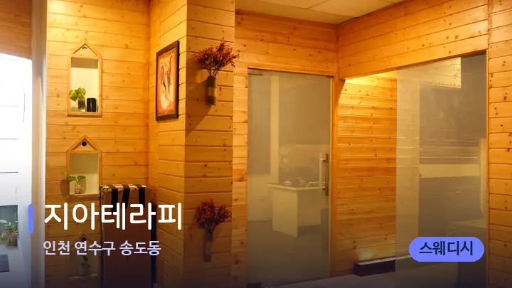 인천 연수구 송도동 지아테라피 — 웰니스 스파 공간