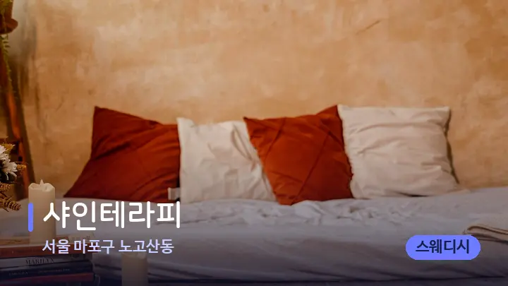 서울 마포구 노고산동 샤인테라피 — 마사지 베드가 놓인 관리실