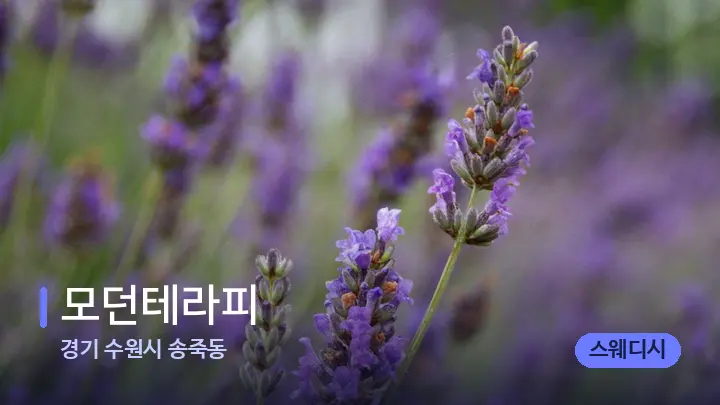 경기 수원시 송죽동 모던테라피 — 아로마테라피 오일