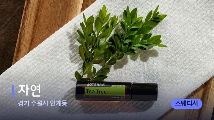 경기 수원시 인계동 자연 — 아로마테라피 오일