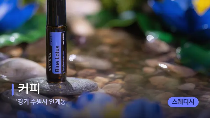 경기 수원시 인계동 커피 — 아로마테라피 오일
