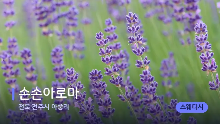 전북 전주시 아중리 손손아로마 — 아로마테라피 오일