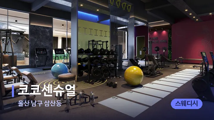 울산 남구 삼산동 코코센슈얼 — 웰니스 스파 공간