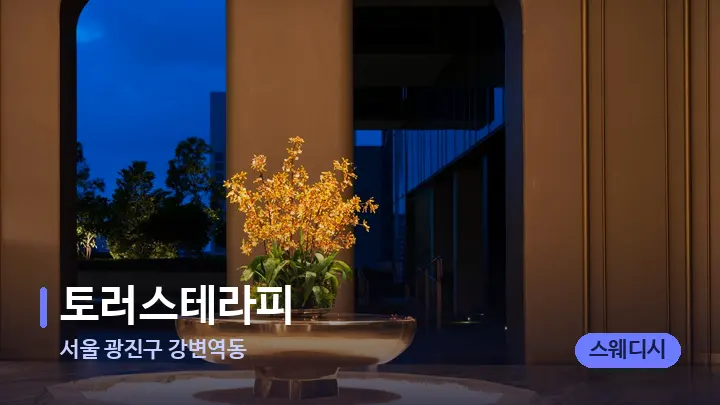 서울 광진구 강변역동 토러스테라피 — 스파 프런트 공간