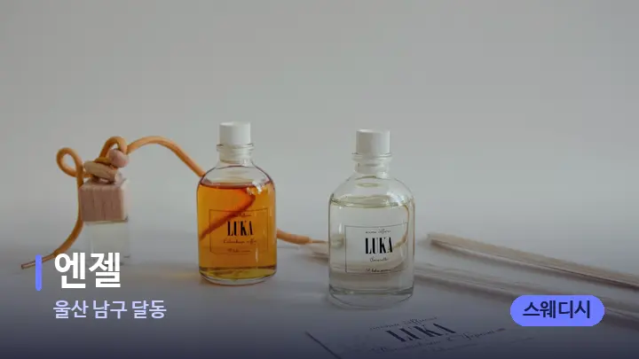 울산 남구 달동 엔젤 — 웰니스 스파 공간