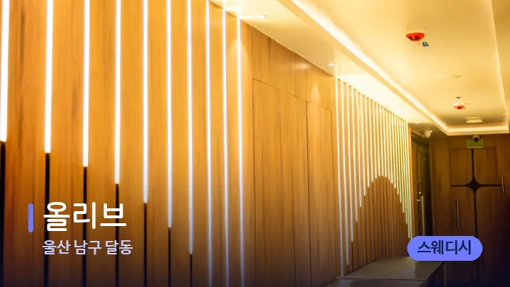 울산 남구 달동 올리브 — 웰니스 스파 공간