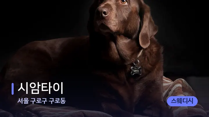 서울 구로구 구로동 시암타이 — 휴식 분위기의 스파 베드