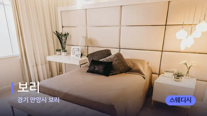 경기 안양시 보리 보리 — 휴식 분위기의 스파 베드