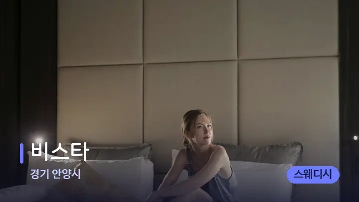 경기 안양시 비스타 — 휴식 분위기의 스파 베드