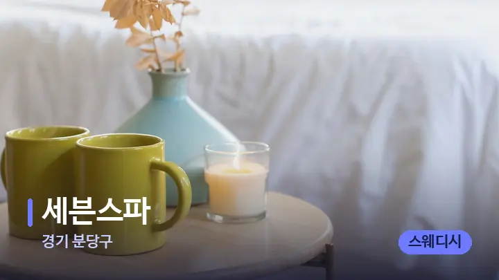 경기 분당구 세븐스파 — 휴식 분위기의 스파 베드