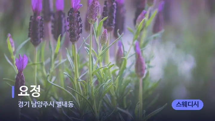 경기 남양주시 별내동 요정 — 아로마테라피 오일
