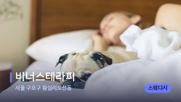 서울 구로구 왕십리도선동 비너스테라피 — 휴식 분위기의 스파 베드