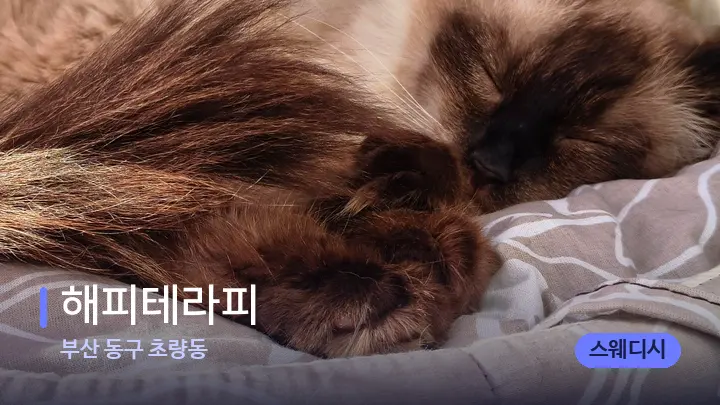 부산 동구 초량동 해피테라피 — 휴식 분위기의 스파 베드