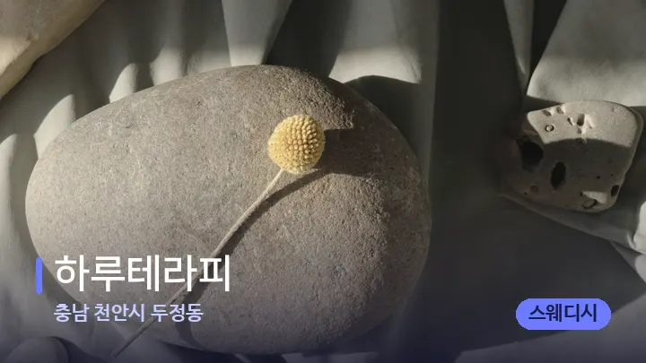 충남 천안시 두정동 하루테라피 — 마사지용 스톤