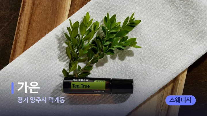 경기 양주시 덕계동 가은 — 아로마테라피 오일