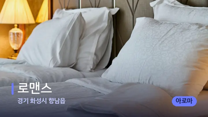 경기 화성시 향남읍 로맨스 — 휴식 분위기의 스파 베드