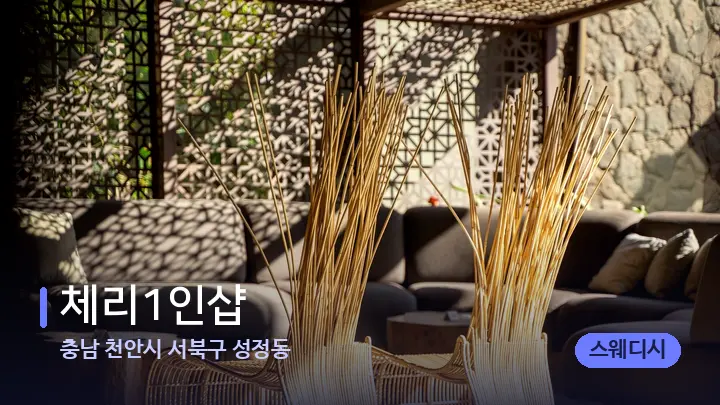 충남 천안시 서북구 성정동 체리1인샵 — 스파 프런트 공간
