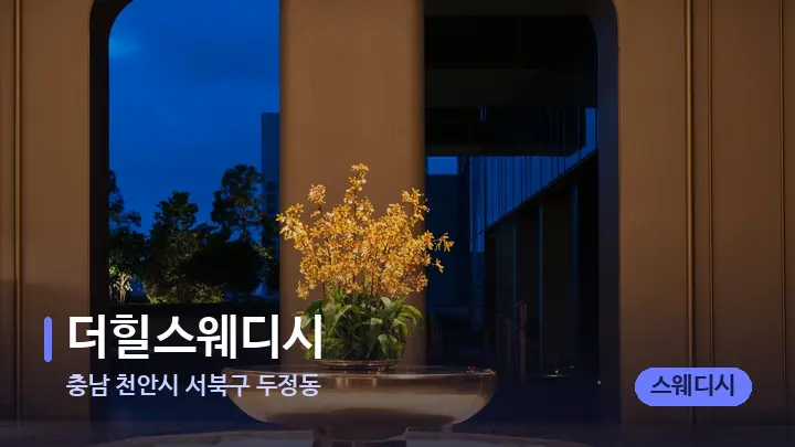 충남 천안시 서북구 두정동 더힐스웨디시 — 스파 프런트 공간