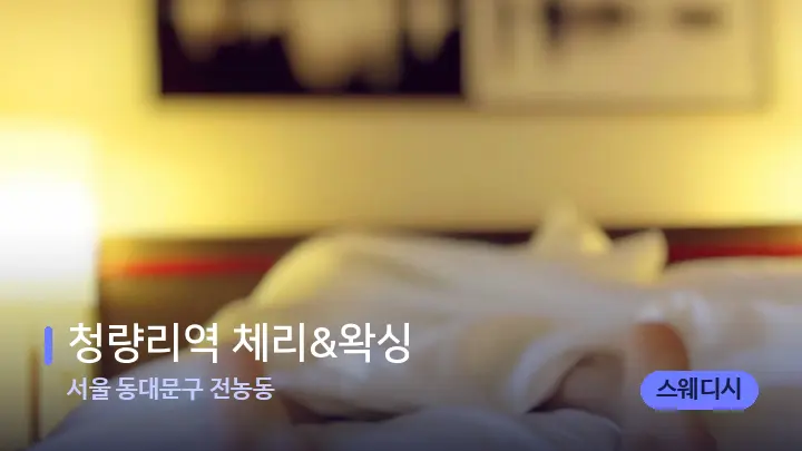 서울 동대문구 전농동 청량리역 체리&왁싱 — 마사지 베드가 놓인 관리실