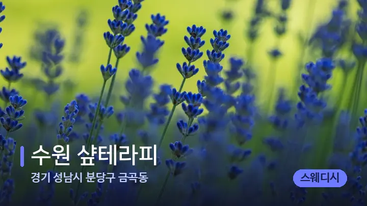 경기 성남시 분당구 금곡동 수원 샾테라피 — 아로마테라피 오일