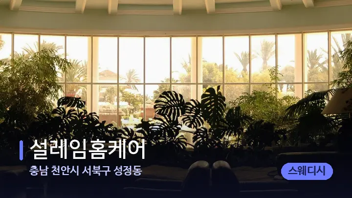 충남 천안시 서북구 성정동 설레임홈케어 — 스파 프런트 공간