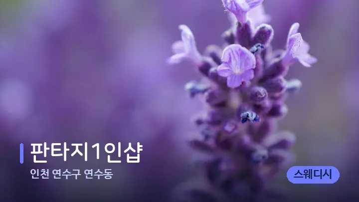 인천 연수구 연수동 판타지1인샵 — 아로마테라피 오일